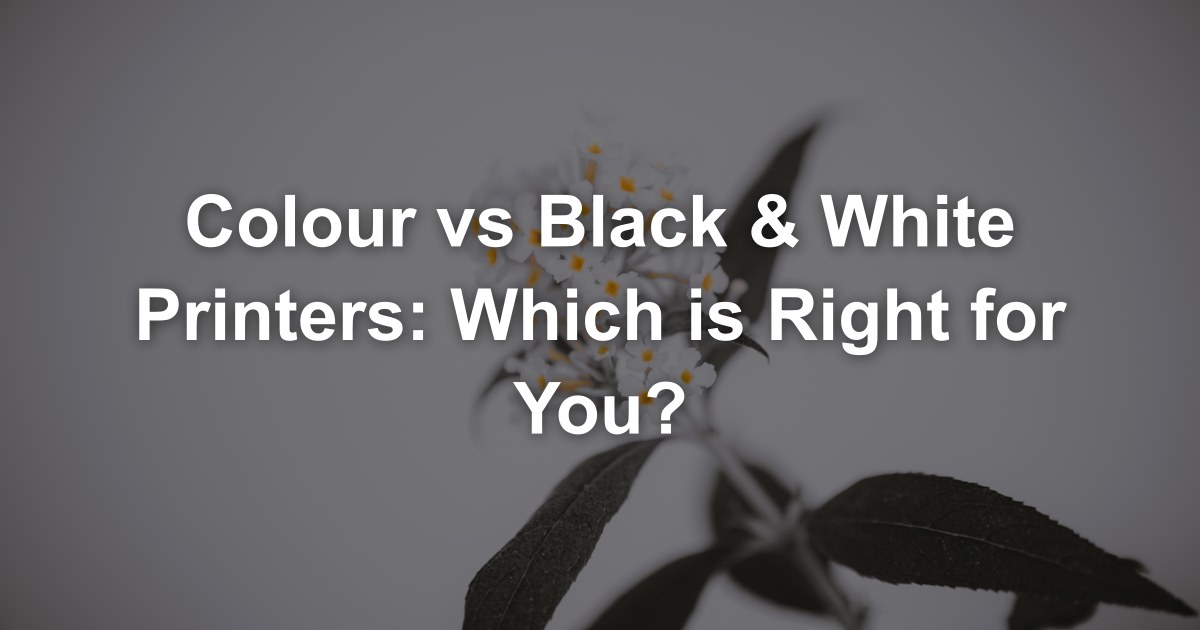 Colour vs Black & White Printers: Which is Right for You?